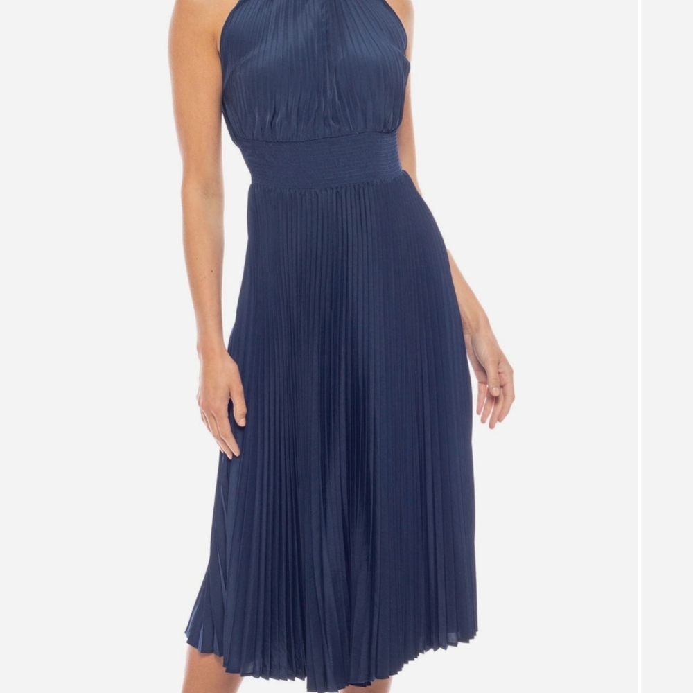 Elegant Navy Blue Pleated Dress